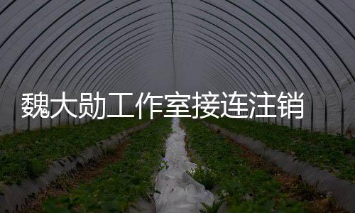 面勋工作室注销接连 经及多魏大围涉个方营范